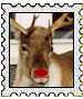 Rudolph the red-nose reindeer