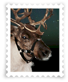 Rudolph