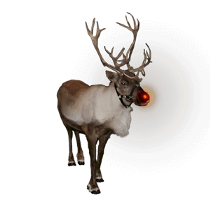 image for How Old Is Rudolph?