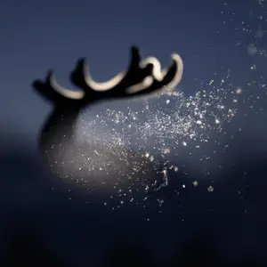 image for How Do Reindeer Fly?