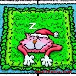 cat on mat