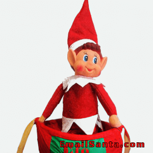 elf inside santas sack