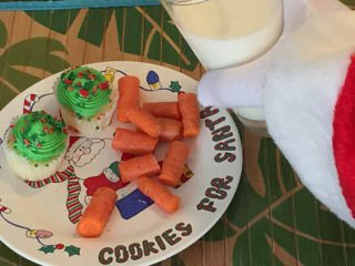 photo of treats for Santa