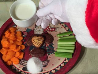 photo of treats for Santa