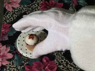 photo of treats for Santa