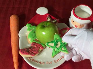 photo of treats for Santa