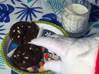 photo of treats for Santa
