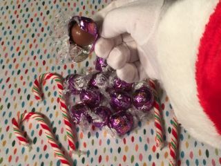 photo of treats for Santa