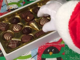 photo of treats for Santa