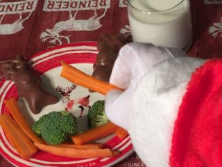 photo of treats for Santa