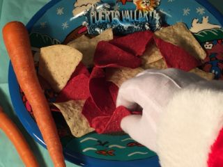 photo of treats for Santa
