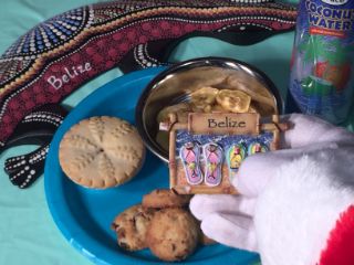photo of treats for Santa
