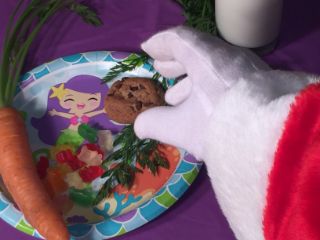 photo of treats for Santa