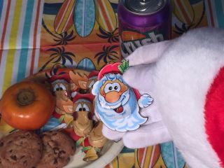 photo of treats for Santa