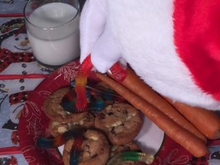 photo of treats for Santa