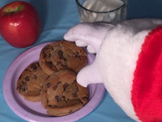 photo of treats for Santa