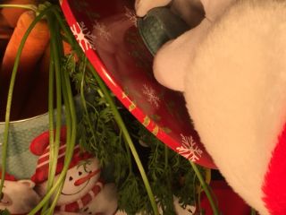 photo of treats for Santa