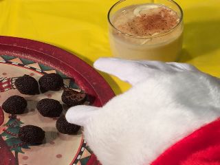 photo of treats for Santa